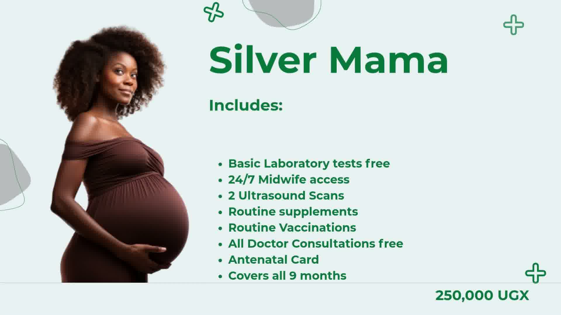 Silver Mama package details