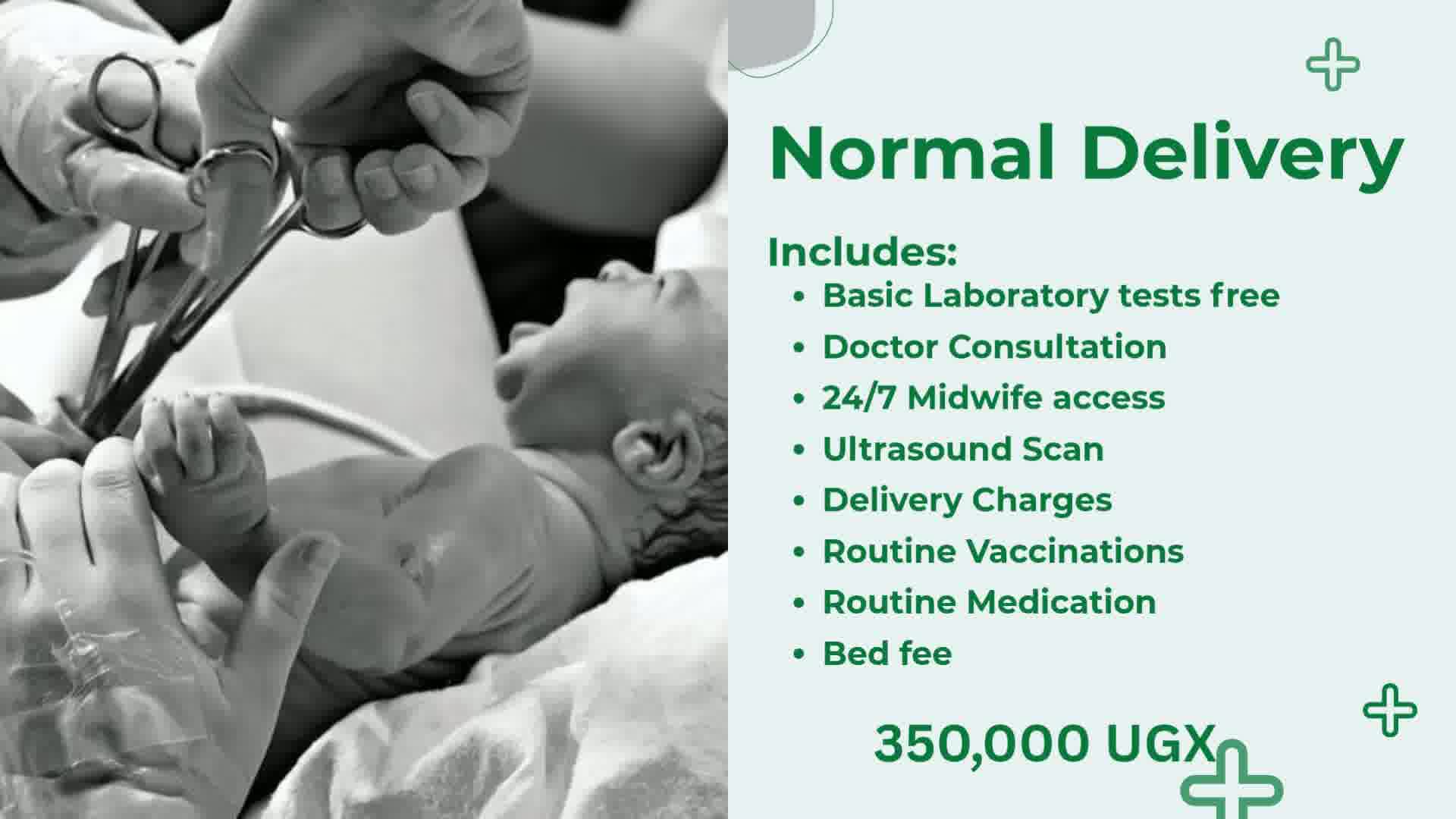 Normal delivery package details
